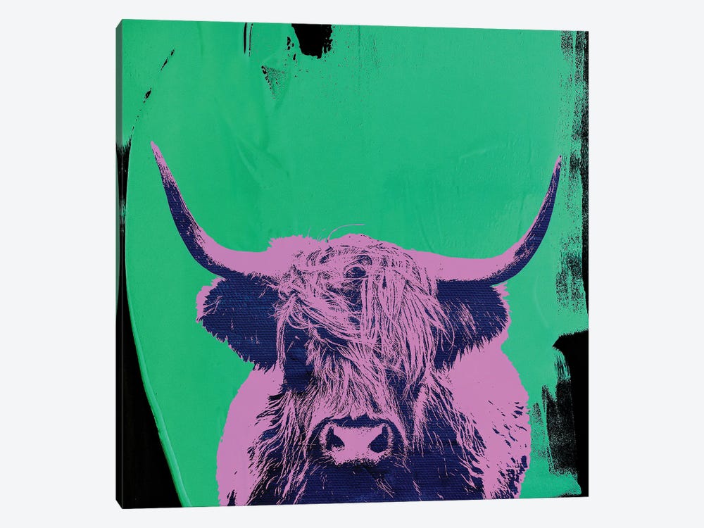 Highland Cow V by The Pop Art Factory 1-piece Canvas Artwork