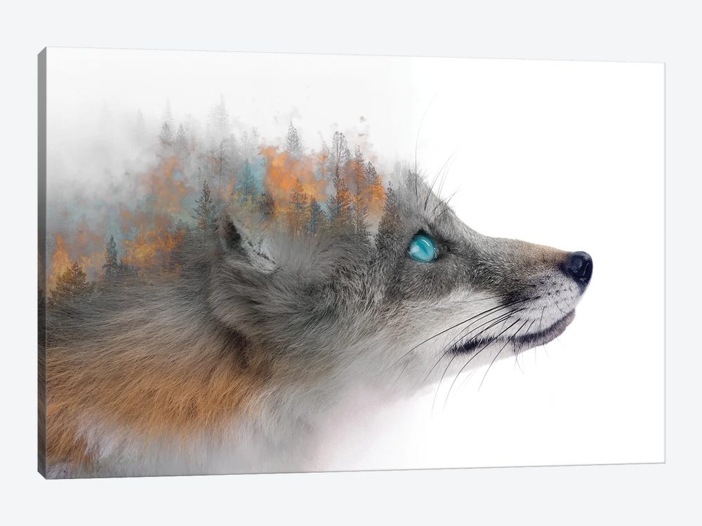 Flaming Fox Canvas Wall Art by Paul Haag | iCanvas