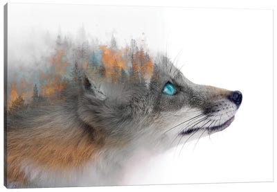 Flaming Fox Canvas Art Print - Paul Haag