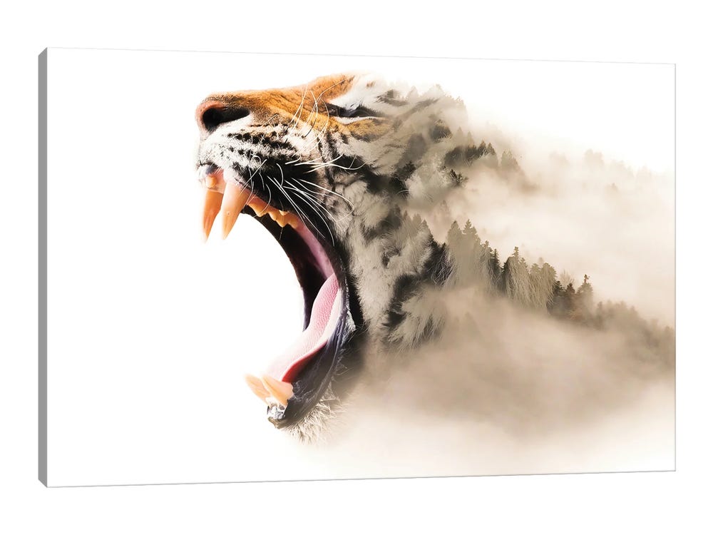 Tiger Mist Art Print by Paul Haag