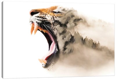 Tiger Mist Canvas Art Print - Tiger Art