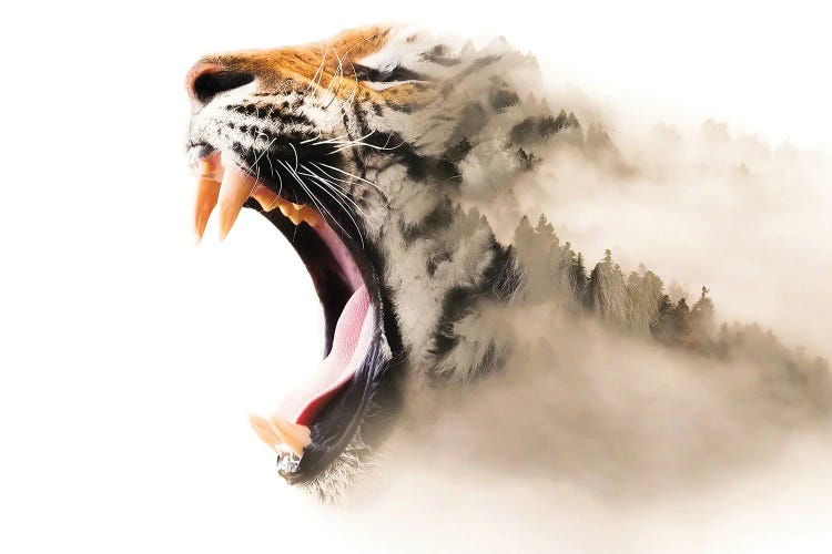 Tiger Mist by Paul Haag wall art