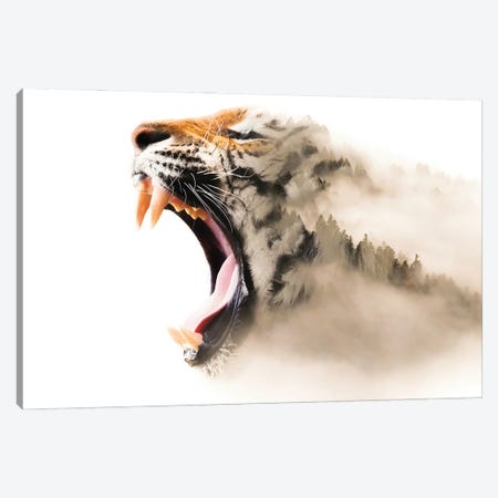 Tiger Mist Canvas Print #PAH103} by Paul Haag Canvas Wall Art
