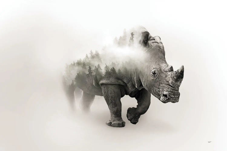 Charging Rhino by Paul Haag wall art