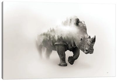 Charging Rhino Canvas Art Print - Paul Haag