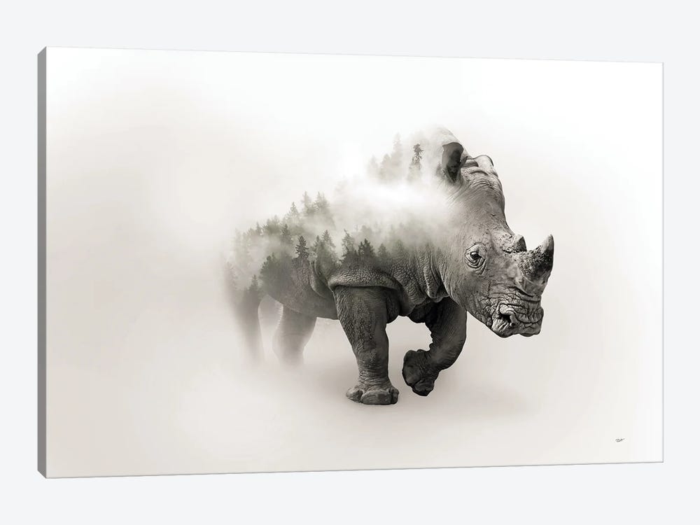Charging Rhino by Paul Haag 1-piece Canvas Print