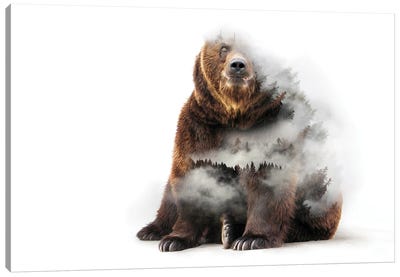Nature Bear Canvas Art Print - Grizzly Bear Art
