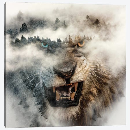 Nature Lion Canvas Print #PAH115} by Paul Haag Canvas Wall Art