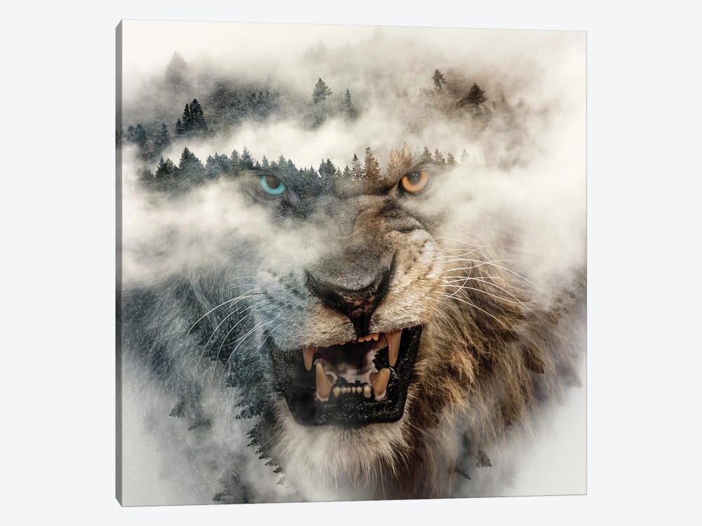 Nature Lion by Paul Haag 1-piece Canvas Wall Art