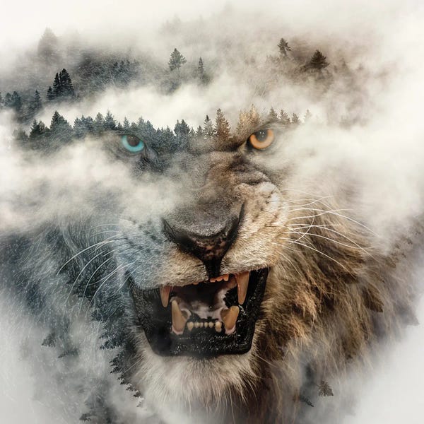 Paul Haag: Nature Lion by Paul Haag