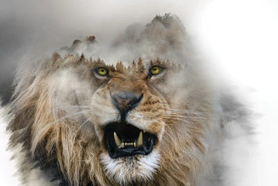 Golden Lion by Paul Haag art print