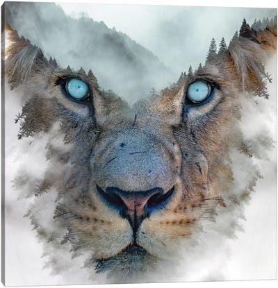 Lion King Canvas Art Print - Paul Haag