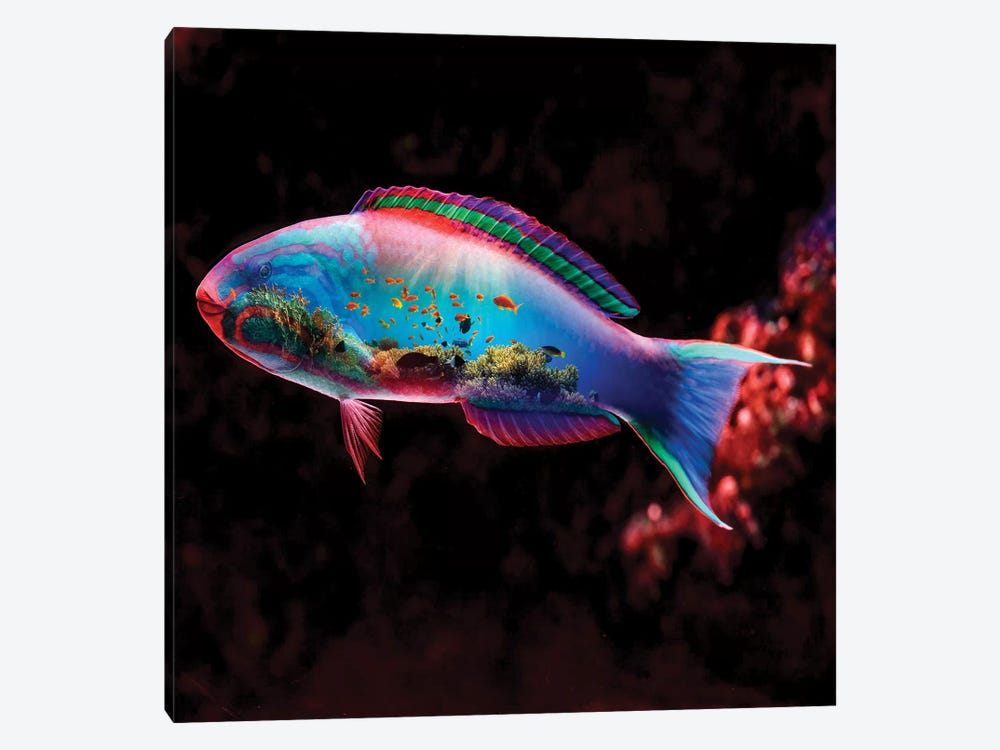 Fish by Paul Haag 1-piece Canvas Print
