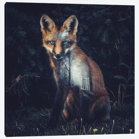 Fox II Canvas Print #PAH13} by Paul Haag Art Print
