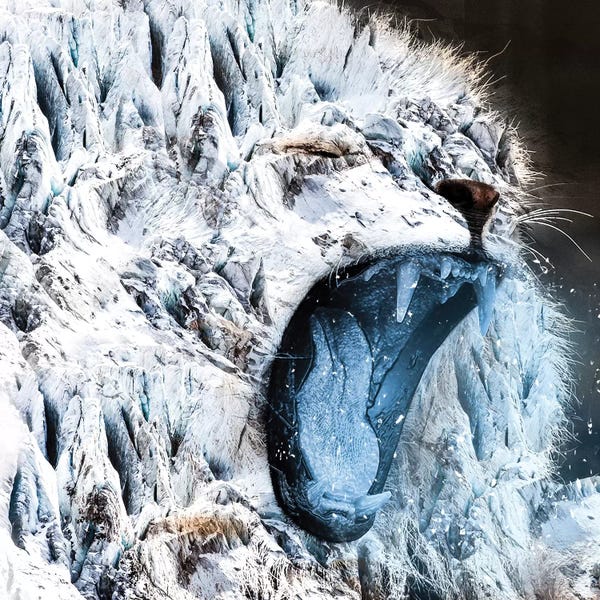 Paul Haag: Frozen by Paul Haag