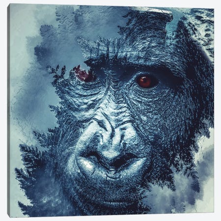 Gorilla Canvas Print #PAH15} by Paul Haag Canvas Wall Art
