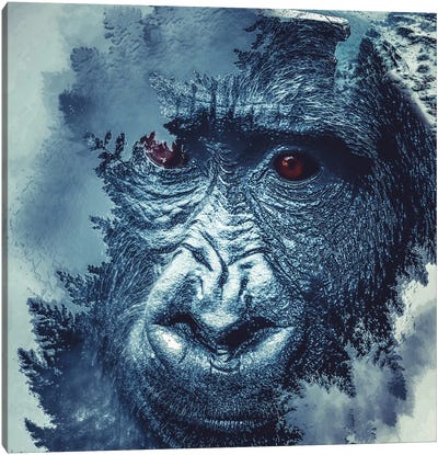 Gorilla Canvas Art Print - Paul Haag