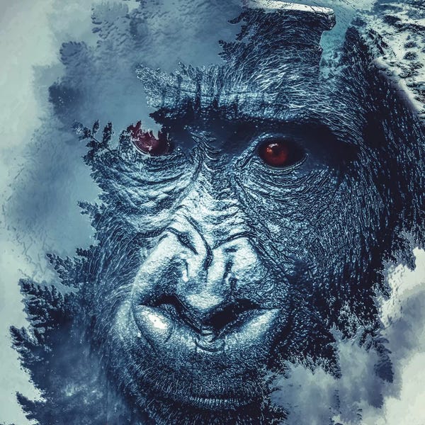 Paul Haag: Gorilla by Paul Haag