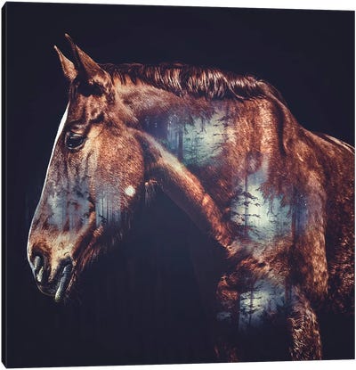 Horse Canvas Art Print - Double Exposure Photography