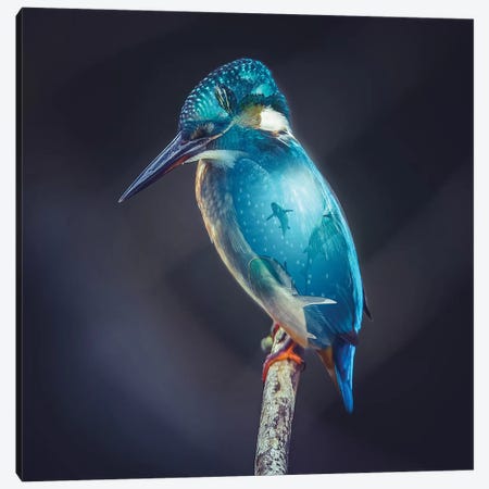 Aquarium Bird Canvas Print #PAH1} by Paul Haag Art Print