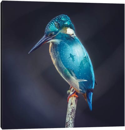 Aquarium Bird Canvas Art Print