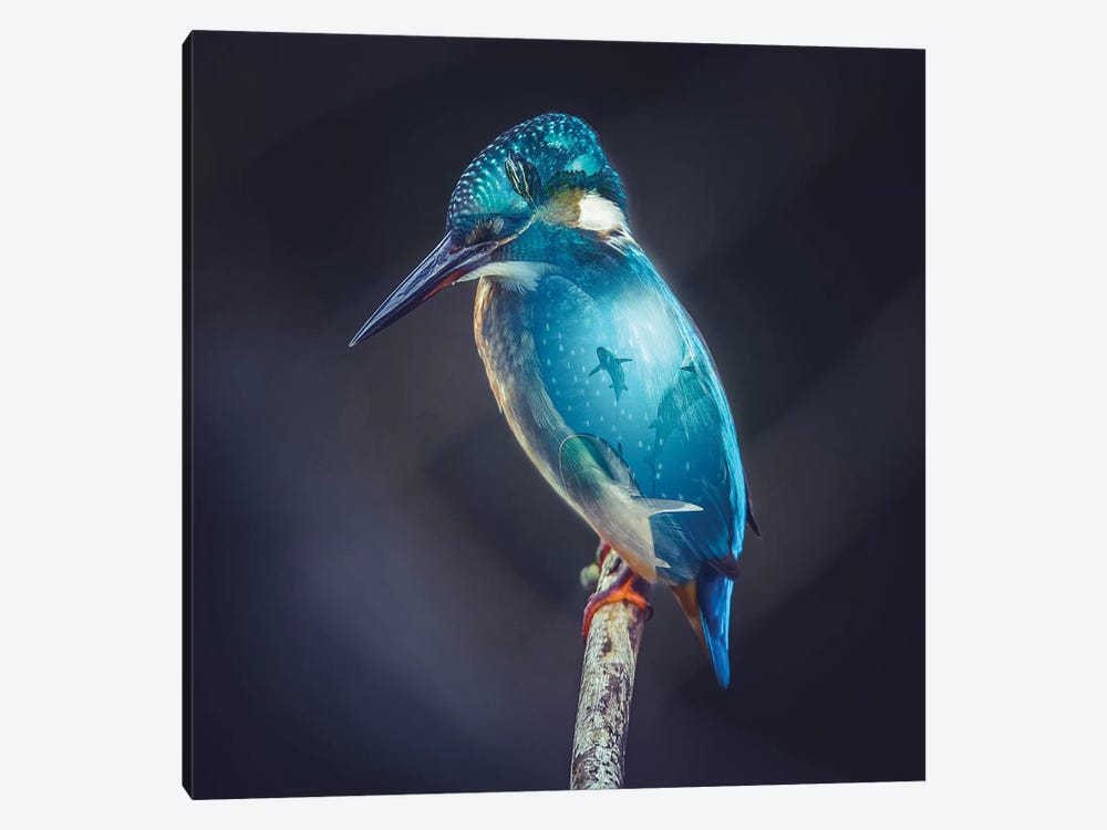 Aquarium Bird by Paul Haag 1-piece Canvas Art Print