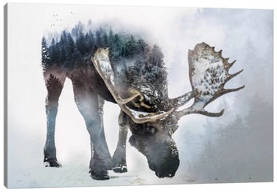 Nature Moose Canvas Art Print - Cabin & Lodge Décor