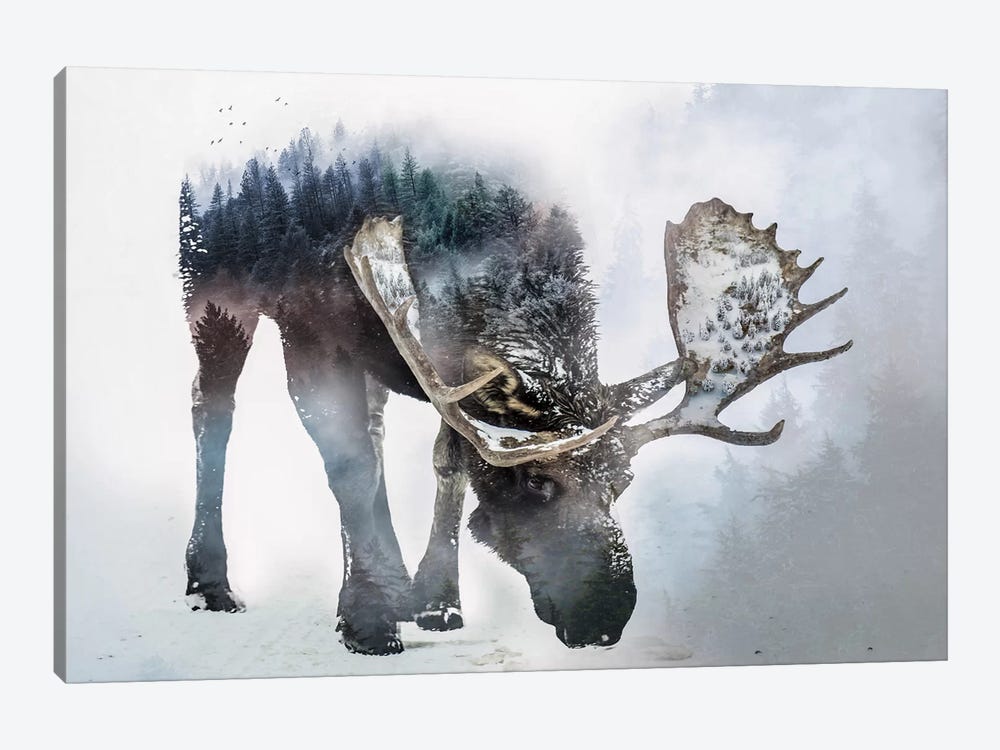 Nature Moose by Paul Haag 1-piece Canvas Art Print