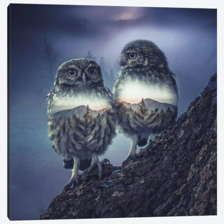 Owl Twins Canvas Print #PAH21} by Paul Haag Canvas Artwork