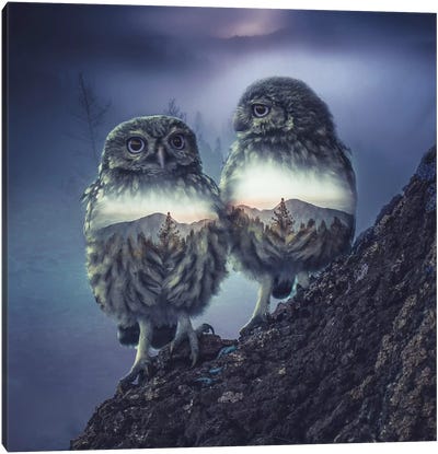 Owl Twins Canvas Art Print - Through The Looking Glass