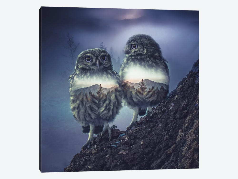 Owl Twins by Paul Haag 1-piece Canvas Wall Art