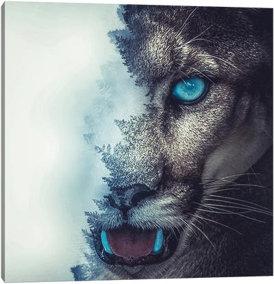 Puma Canvas Art Print - Cougars