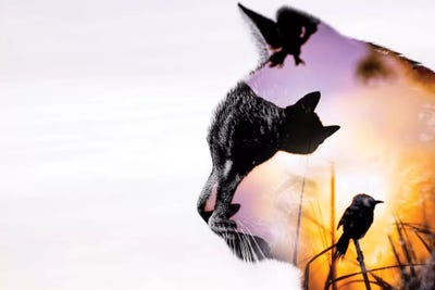 Cats by Paul Haag framed wall art