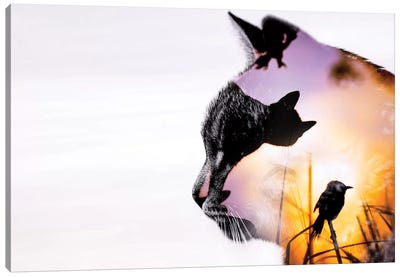 Cats Canvas Art Print - Paul Haag