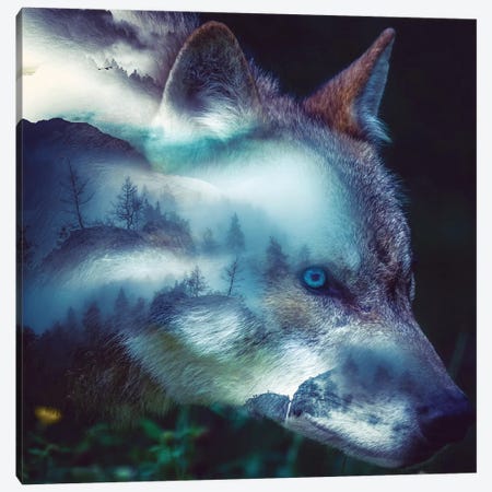 Forest Wolf Canvas Print #PAH34} by Paul Haag Canvas Artwork