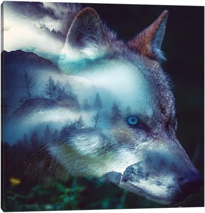 Forest Wolf Canvas Art Print - Through The Looking Glass