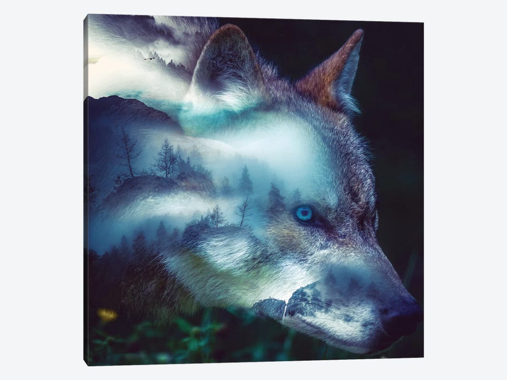 Forest Wolf by Paul Haag 1-piece Canvas Wall Art