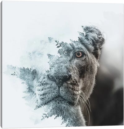 Lioness Canvas Art Print - Double Exposure Photography