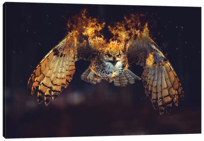 Owl On Fire Canvas Art Print - Paul Haag