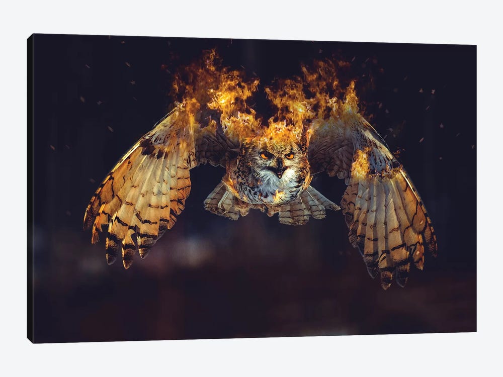 Owl On Fire by Paul Haag 1-piece Canvas Art Print