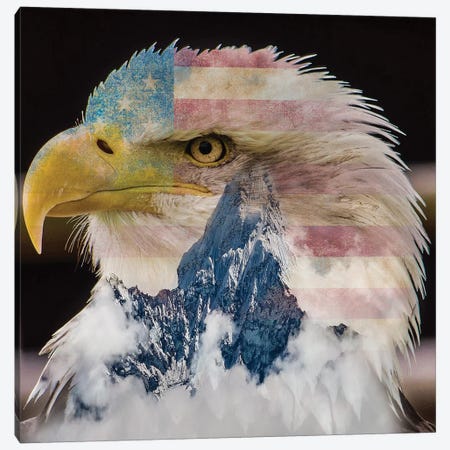 Eagle I Canvas Print #PAH43} by Paul Haag Canvas Art