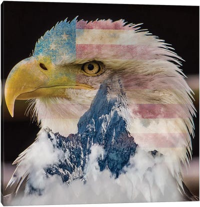 Eagle I Canvas Art Print - Paul Haag
