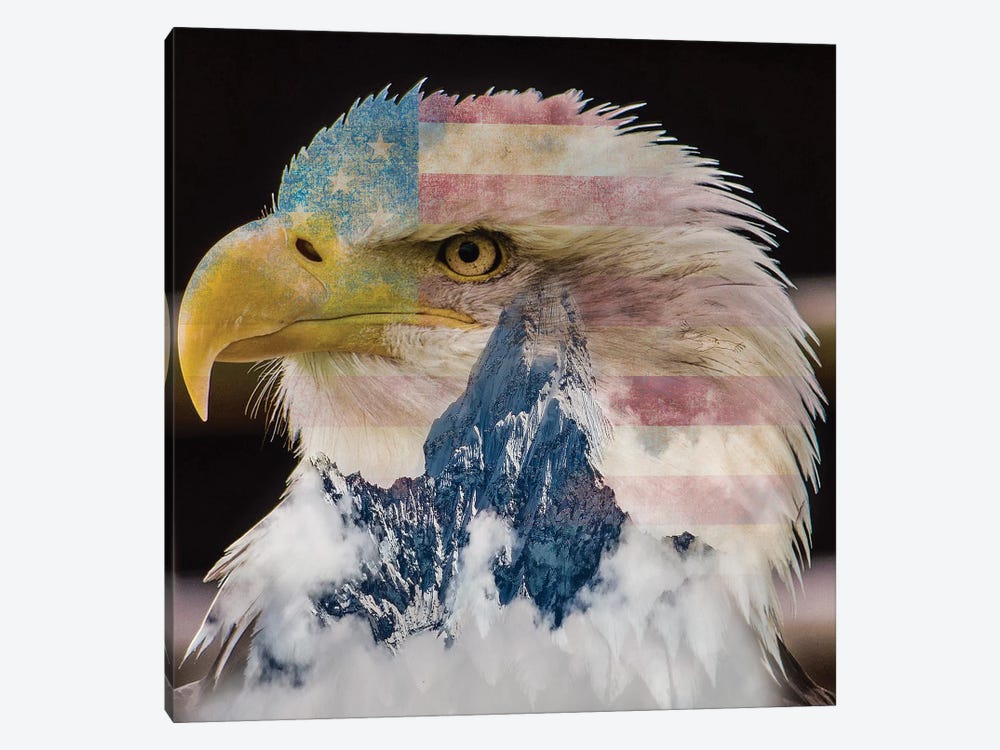 Eagle I by Paul Haag 1-piece Canvas Art