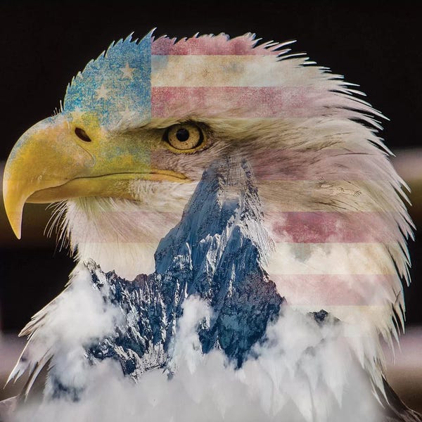 Paul Haag: Eagle I by Paul Haag