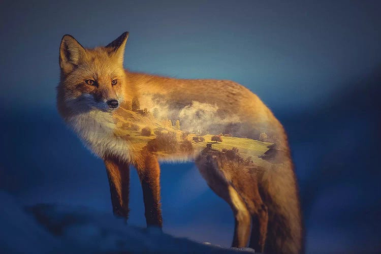 Foxscape