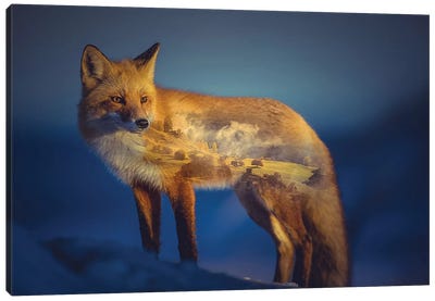 Foxscape Canvas Art Print - Fox Art
