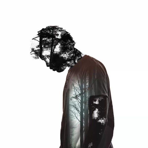 Paul Haag: Tree Man by Paul Haag