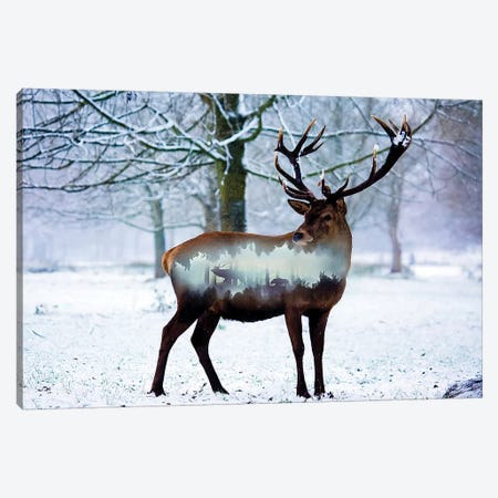 Winter Deer I Canvas Print #PAH48} by Paul Haag Canvas Art