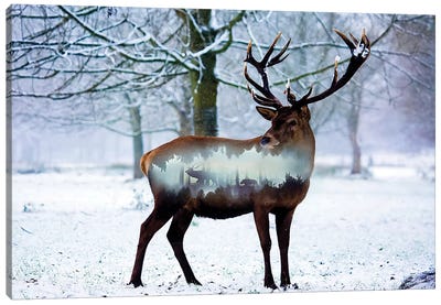 Winter Deer I Canvas Art Print - Ski Chalet