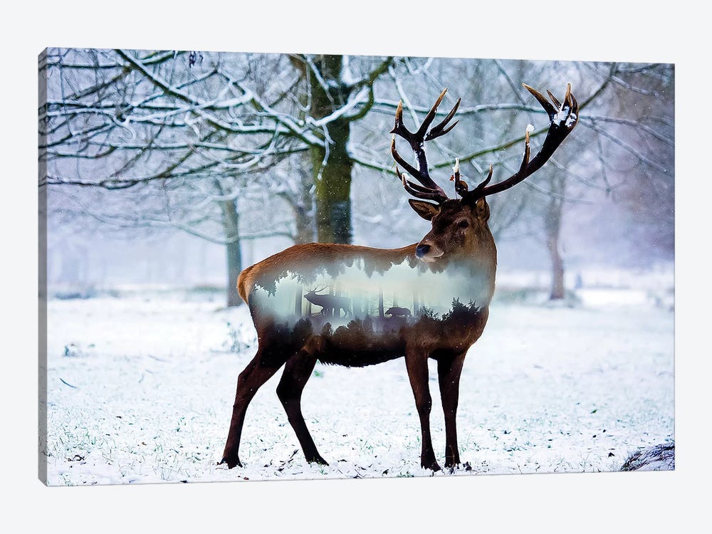 Winter Deer I by Paul Haag 1-piece Canvas Art Print